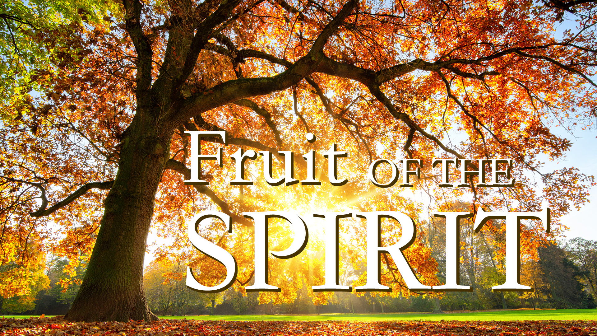 Fruit of the Spirit